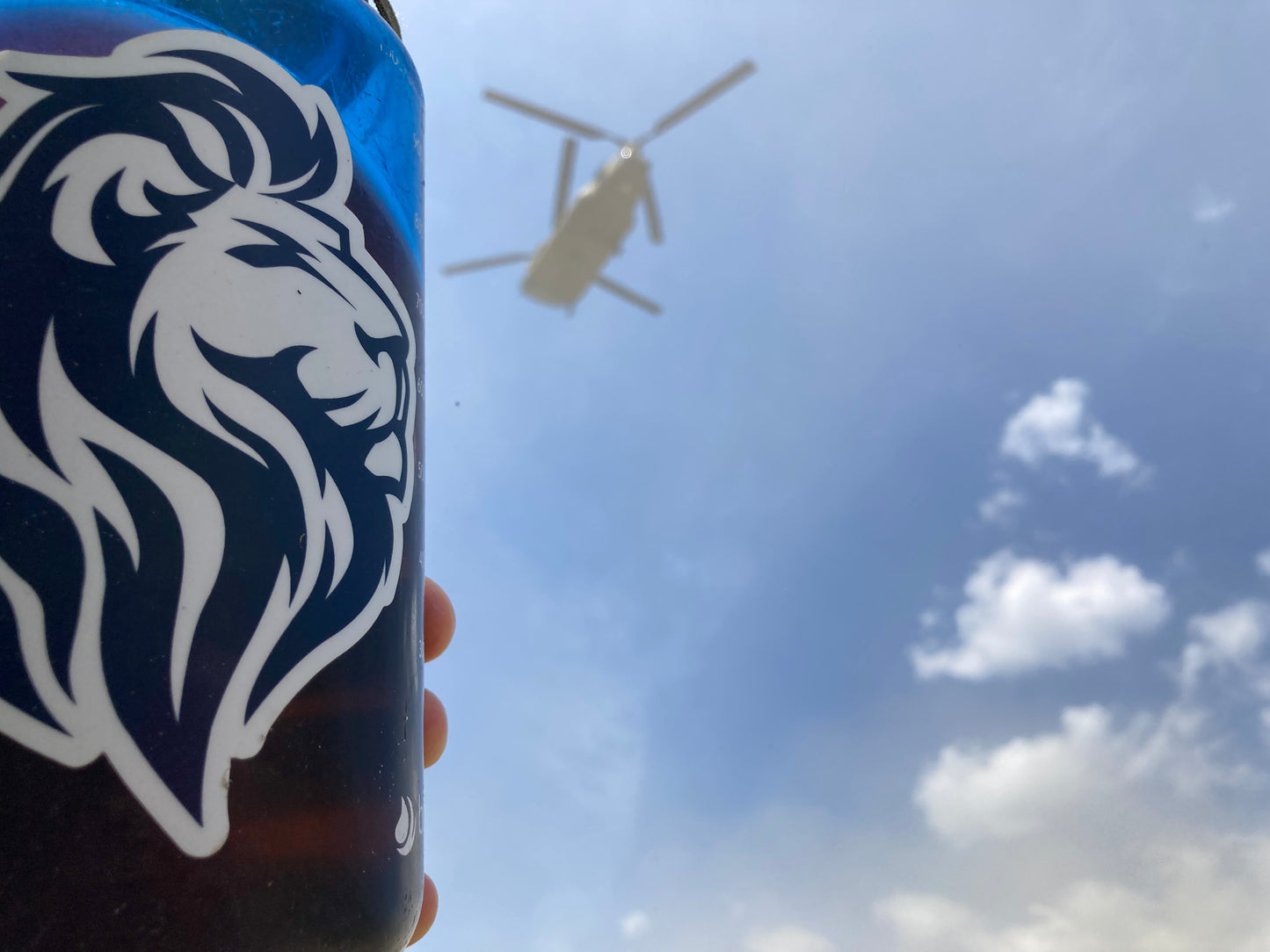 MW Lion Sticker pack